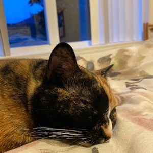 Meet your Posher, Lisa